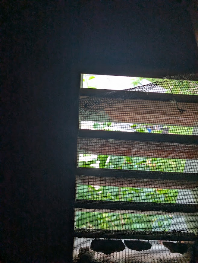 Attic vent with loose screening at the far end of the attic