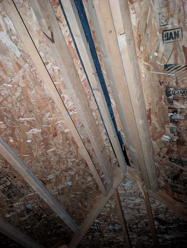 Attic rafters under the new roof and ridge vent in a Sudden Valley home, sealed against bats